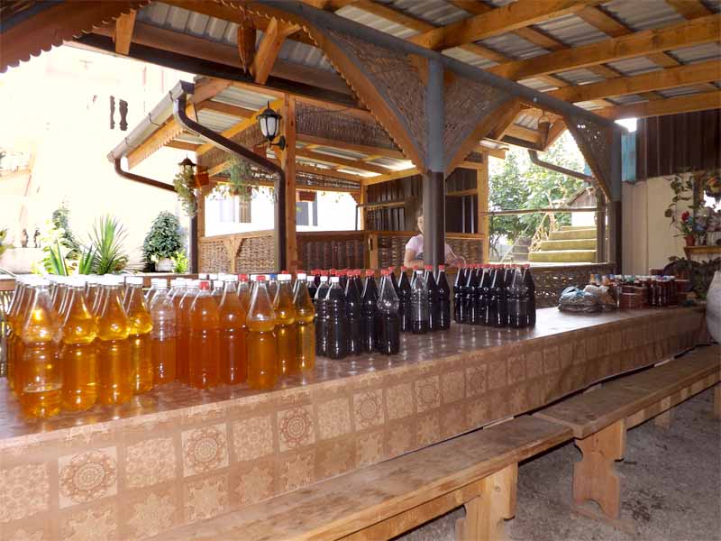 Экскурсия в Лыхны, дегустации абхазских вин, отдых в Абхазии по низким ценам, туры в Абхазию из Тулы