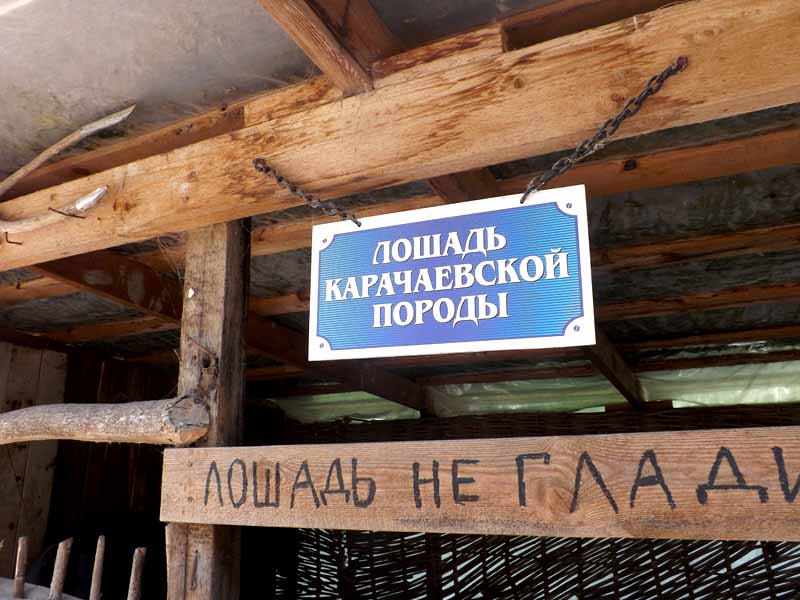 Экскурсия на Медовые водопады, в Карачаево-Черкесию из КавМинВод, отдых и лечение в санаториях КавМинВод