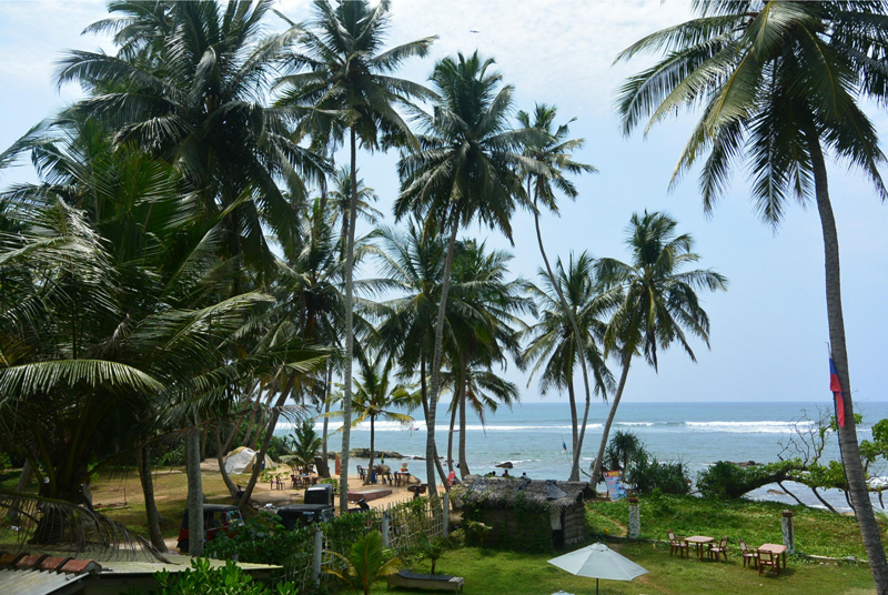 Отдых на берегу Индийского океана в Шри Ланке