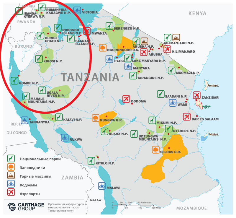Западные национальные парки Танзании, Нгоронгоро, Серенгети, Маньяра, туры на сафари в Туле